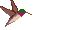 mouches2.gif